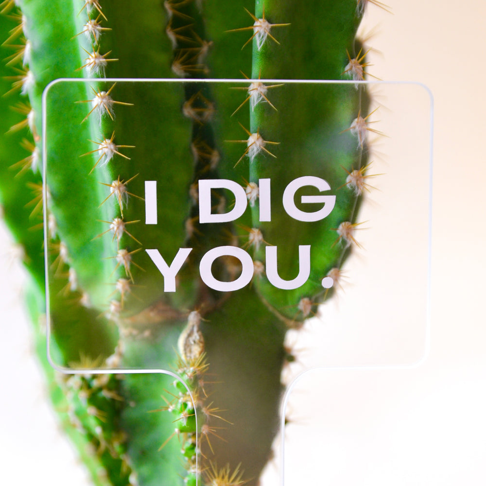 "I Dig You" Gift Message Pops